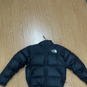 1996 zp눕시 95(M)
